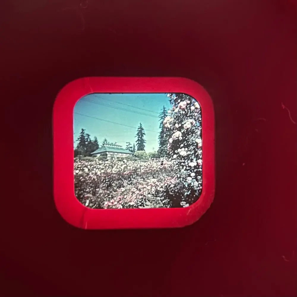 Vintage View-Master Reels – Bryce Canyon & Vancouver – Sawyer’s Inc. 1950s/60s